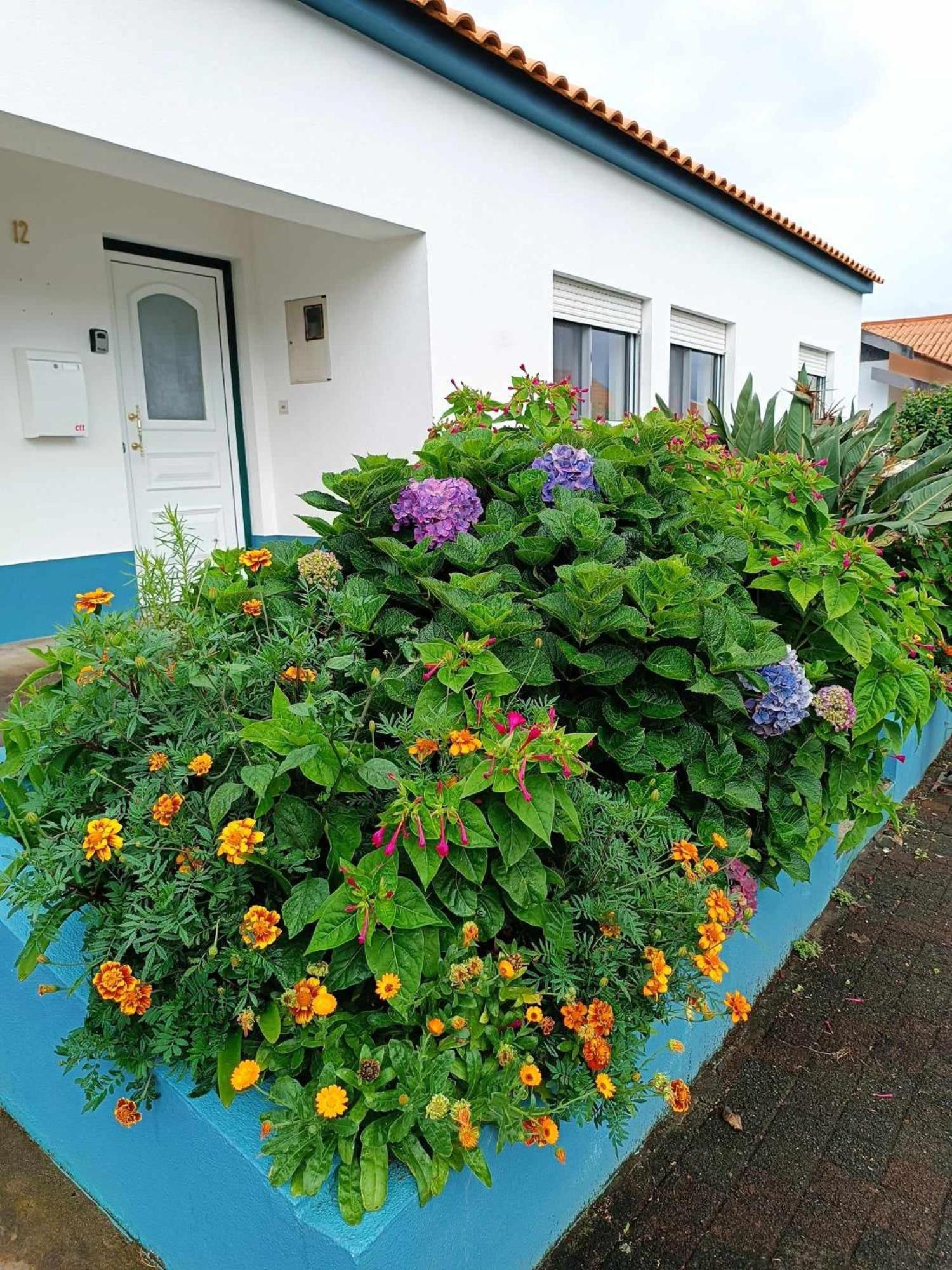 Apartamento Da Matilde Santa Cruz das Flores Exterior foto